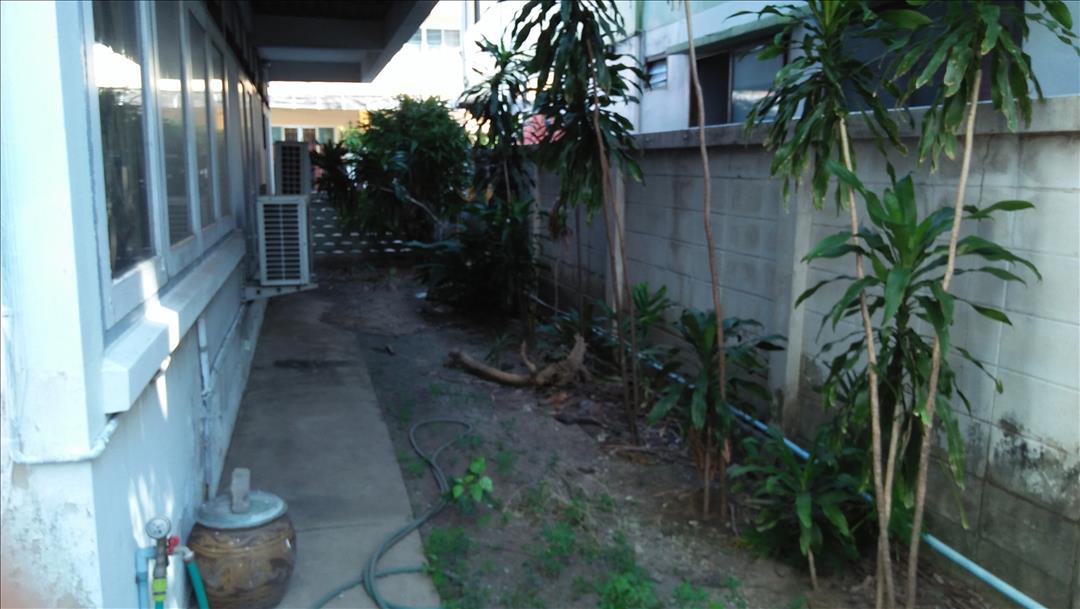 ขายที่ดินพร้อมสิ่งปลูกสร้างเหมาะทำอพาร์ตเม้นท์ขนาด 7-8 ชั้น พระโขนง คลองตัน 