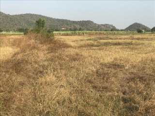 SaleLand Land in Photharam Ratchaburi