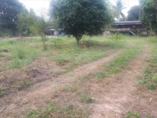 SaleLand Land for sale Suanpueng
