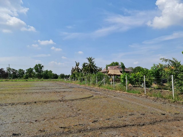SaleLand ที่ดินแบ่งขายไทรน้อยนนทบุรี เริ่มต้น 84 ตร.ว.