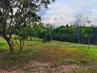 SaleLand Beautiful Land, panoramic mountain view on the hill with pond in Maerim, Chiang Mai