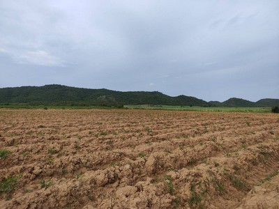 SaleLand ที่ดิน กาญจนบุรี 100 ไร่ ติดถนนลาดยาง  เหมาะทำการเกษตร ใกล้แหล่งน้ำ