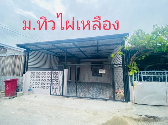 ทิวไผ่เหลือง