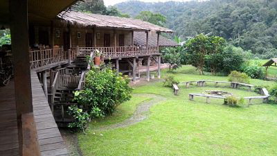 Sale-RentHouse Lease homestay on the forest high mountain view 