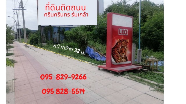 -ที่ดินศรีนรินทร์ ติดถนนหลัก