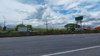 SaleLand Land for sale, next to the road340 trees, Bang Bua ThongSuphan Road, Lahan Subdistrict, Bang Bua Tho