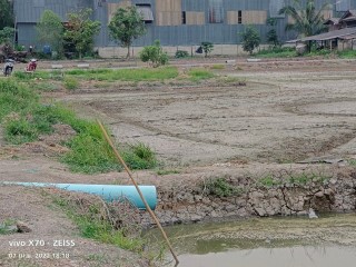 ที่ดิน เมืองปทุมธานี