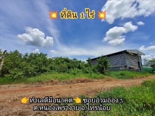 👉ต้องการขายด่วน!!! ที่ดินอ่วมอ่อง 1 ไร่ ทำเลดีมีอนาคต ซอยอ่วมอ่อง 3 ต.หนองเพรางาย อ.ไทรน้อย