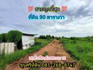 ขายถูกที่สุด!!! ที่ดินสร้างบ้านสวน 90 ตารางวาใกล้หมู่บ้านปิยวรารมย์ 1 ถนน บางกรวย-ไทรน้อย