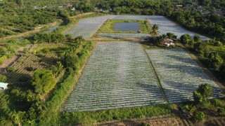 ที่ดินเพื่อการเกษตรและการลงทุน