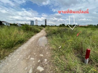 ที่ดิน ซอยวัดปลัดเปรียง ถนนบางนาตราด ต.บางแก้ว อ.บางพลี สมุทรปราการ