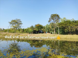 บ้านสวนในฝัน8ไร่เศษ ดินดี น้ำเยอะ พร้อมรายได้ บ้านฝาง เพียง 4.5แสนต่อไร่