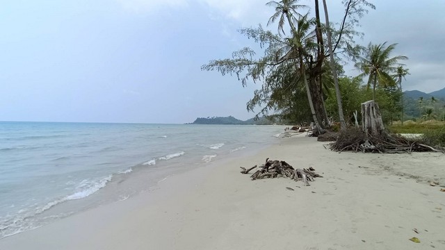 ขายที่ดินแปลงสุดท้าย  บนเกาะช้าง จ.ตราด