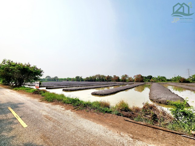 ขายที่ดินคลอง 12 หนองเสือ ติดถนนลาดยางในซอย