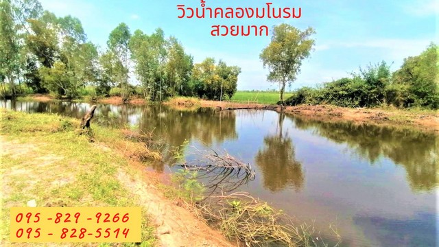 ขายที่ดินสวย 10-0-60 ไร่  ที่ดินติดถนน นครนายก