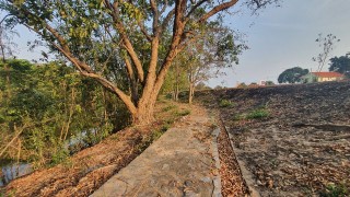 ขายที่ดิตทะเล หาดพยูน ใกล้สนามบินอู่ตะเภา บ้านฉาง ระยอง