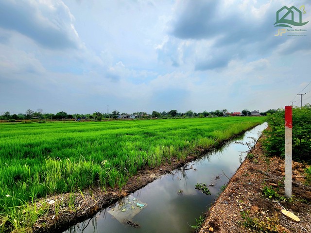 ขายที่ดิน 5 ไร่ คลอง 12 หนองเสือ ติดถนน 2 ด้าน