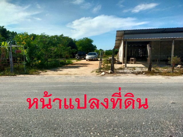 ขายที่ดินผังสีเหลือเขตบ้านฉาง จ.ระยอง