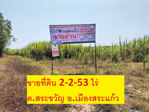 ขายที่ดิน 2-2-53 ไร่ อ.เมืองสระแก้ว  