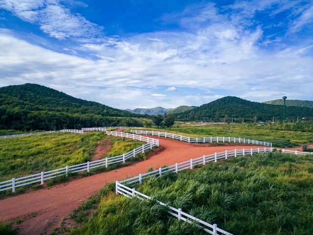 ที่ดินแบ่งขายวิวภูเขารายล้อม 360 องศา อ.ท่ายาง เพชรบุรี สาธารณูปโ