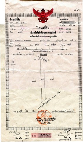 ขายที่ดินทำเลสวย เส้นสกลนคร-นครพนม อำเภอกุสุมาลย์ จังหวัดสกลนคร