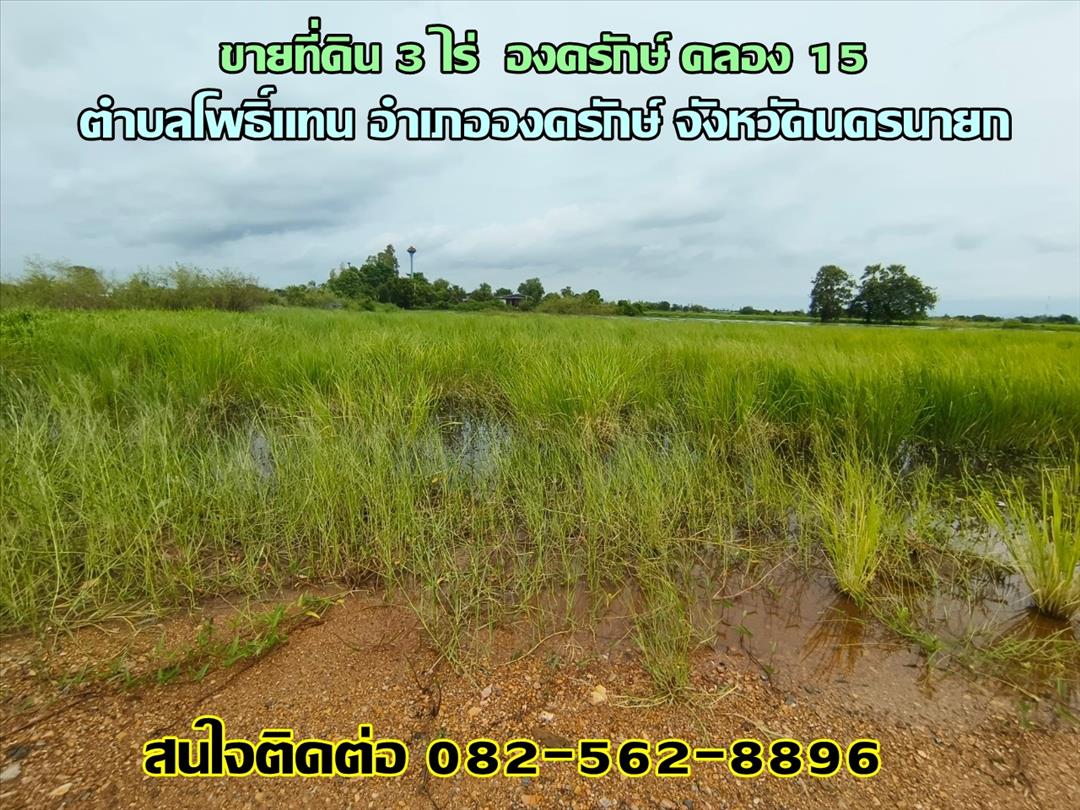 ขายที่ดิน 3 ไร่ องครักษ์ คลอง 15 ตำบลโพธิ์แทน อำเภอองครักษ์ นครนายก