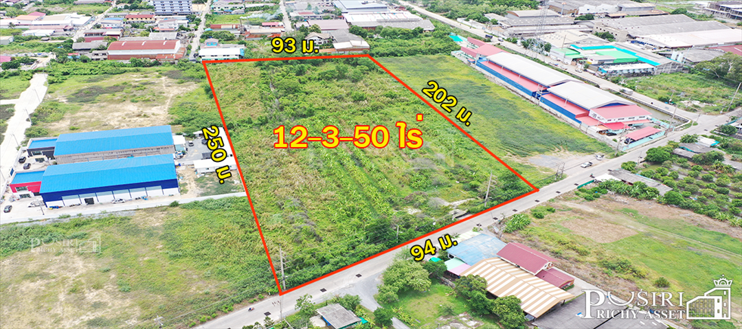 สร้างโรงงานได้ 13,000 ตร.ม. ที่สีม่วงเกือบ 13 ไร่ ฮวงจุ้ยดีหน้ากว้าง 94 ม. หันทิศใต้  kk5113s