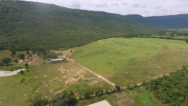 ที่ดินวิวภูเขาติดแหล่งน้ำธรรมชาติเหมาะทำรีสอร์ทที่อยู่ติดภูเขา ภู