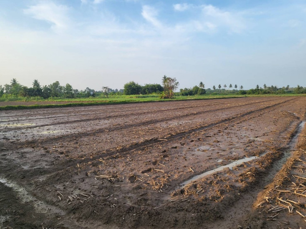 SaleLand Land for sale, Mueang District, Phichit Province ID-13114
