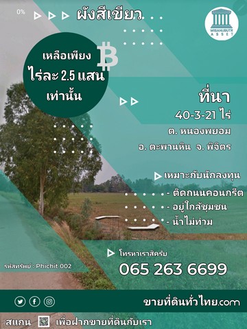 ขายที่ดิน อ. ตะพานหิน/จ. พิจิตร  40-3-21 ไร่ 