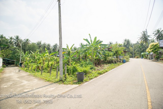 ขาย ที่ดินถมแล้ว ต.บางนกแขวก อ.บางคนที แม่กลอง จ.สมุทรสงคราม