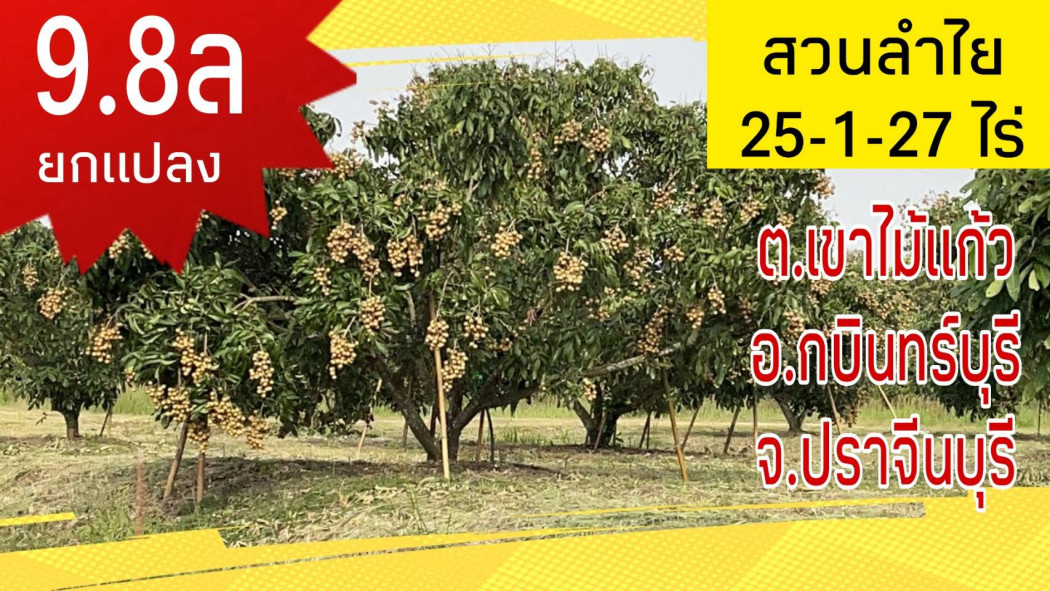 SaleLand Land for sale, longan orchard, San Dan Village, 25 rai 1 ngan 27 sq m.