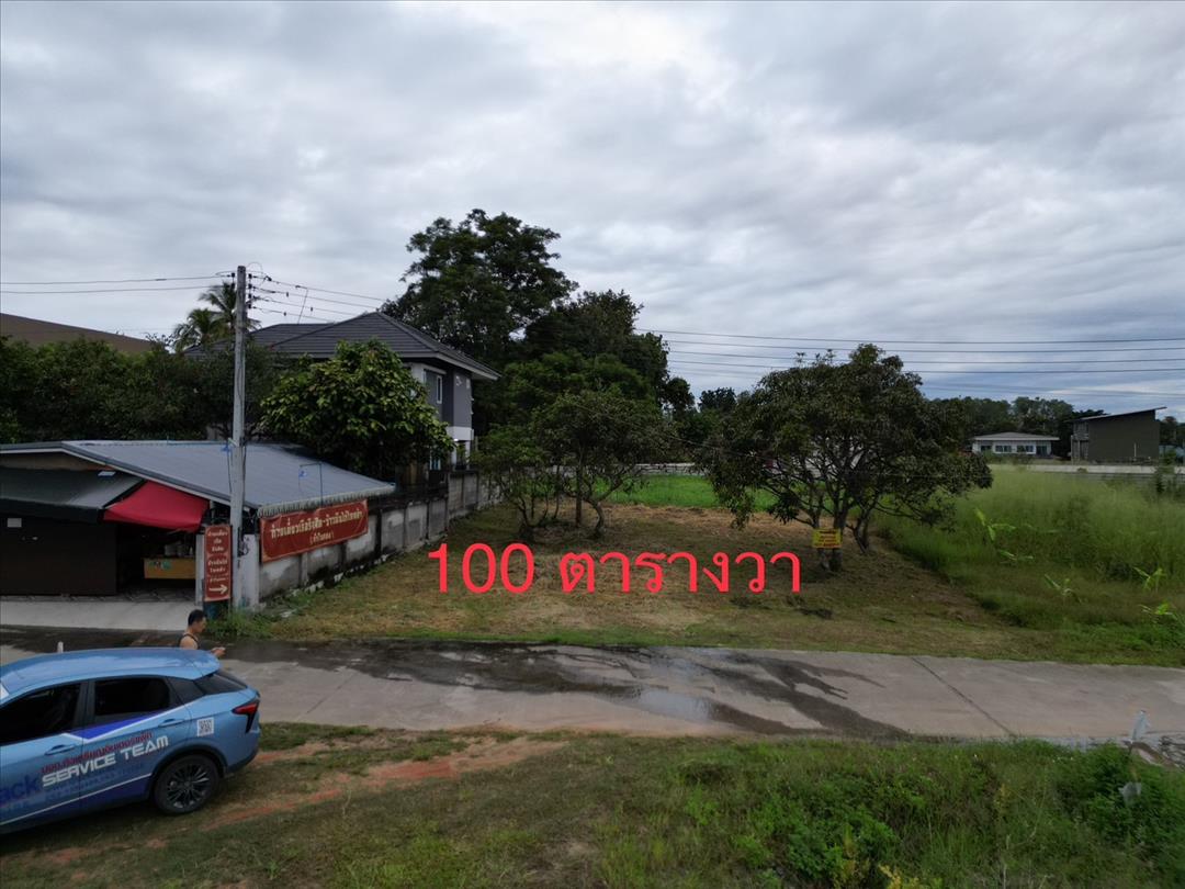 SaleLand Land for sale, 100 square wah , in chaing mai