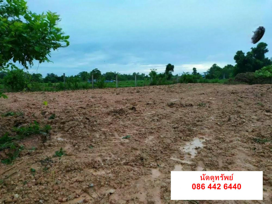SaleLand Land for sale 155 sq m near 7-Eleven Lotus Go Fresh Noen Phra Nao near the city ID-13495