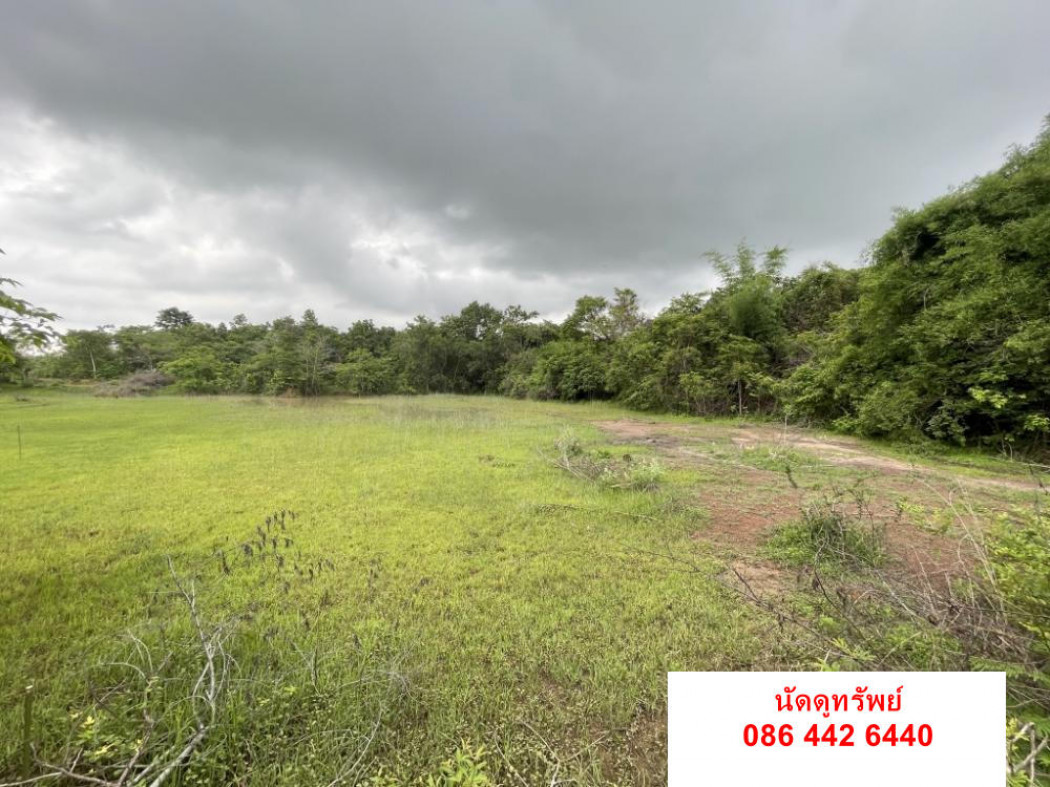 SaleLand Land for sale, 3 ngan 50 sq m, zone New Nong Khai-Bueng Kan Road, Pho Chai Subdistrict ID-13496