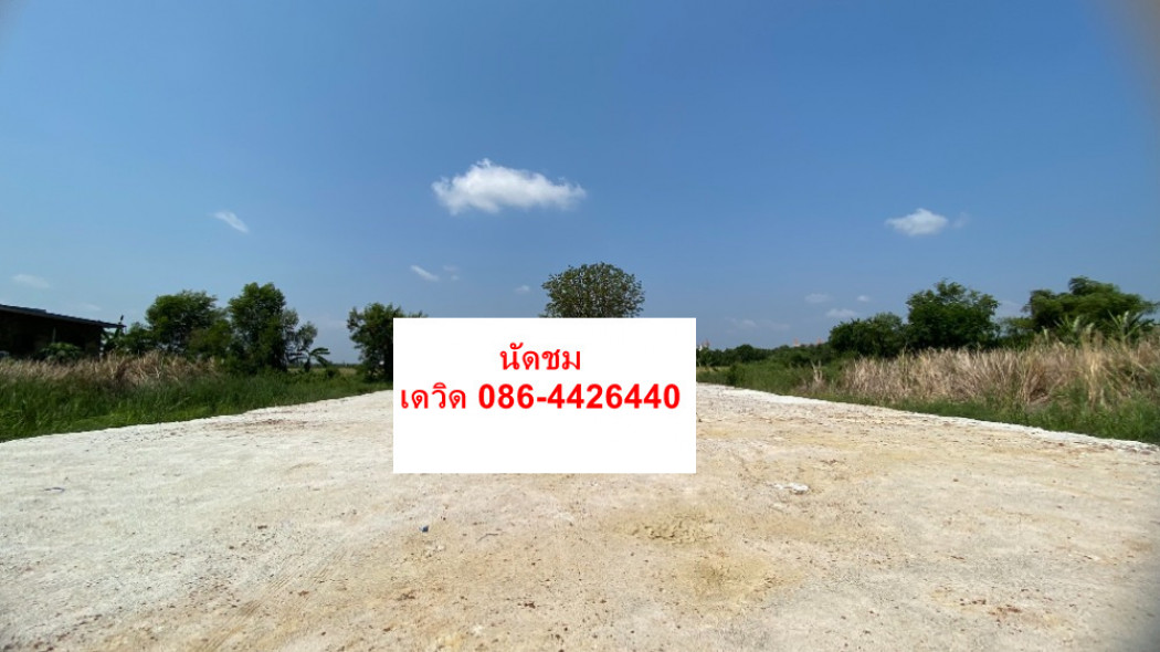 SaleLand For sale or rent, filled land 217 sq m., ABAC Bangna area, Bang Sao Thong ID-13524