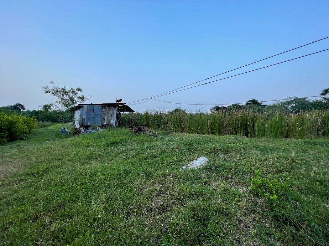 SaleLand Land for sale in Chian Yai, Nakhon Si Thammarat, 1 rai 3 ngan 4 square wah, next to the canal, very good atmosphere Suitable for farming