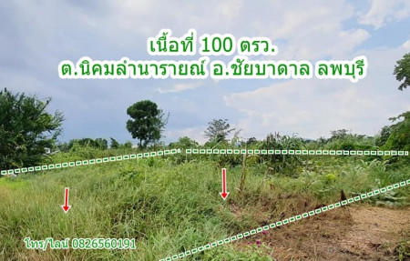 SaleLand Land 100 sqw. for SALE  in A.Chaibadan, Lopburi Province