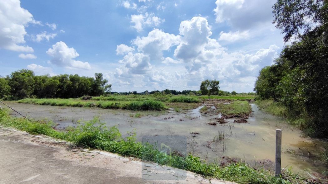 SaleLand Land for sale, 2 rai, Khlong 5, west side, Khlong Luang, Pathum Thani, near the Pathum Thani-Ayutthaya highway.