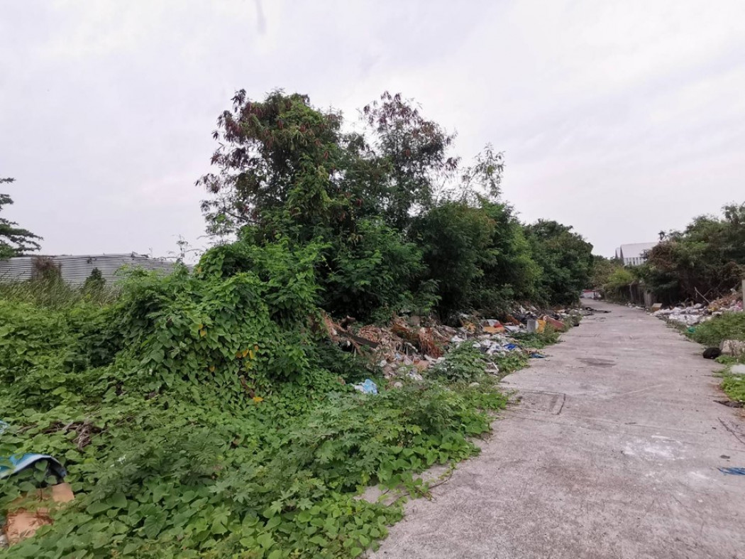 SaleLand Land for sale, Soi Bearing 32, area 3 ngan, 16 sq m, can build houses, warehouses, offices