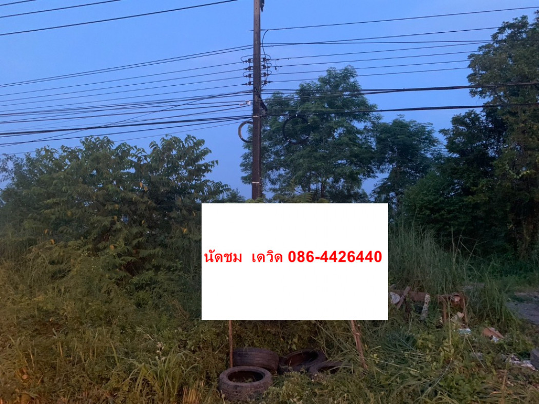 RentLand For sale/rent, 2 plots of land next to the main road, next to road 304, width 41 meters, ID-13580