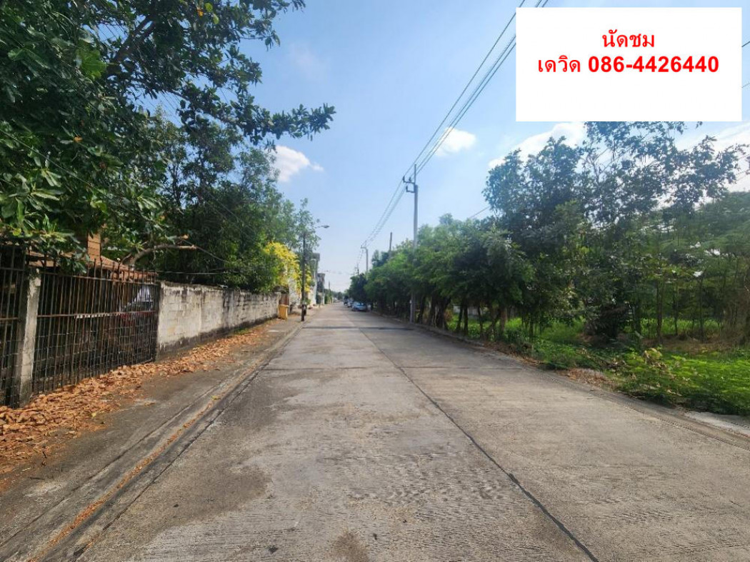 RentLand Land for rent for agriculture 3 rai 1 ngan 21 sq m. ID-13612