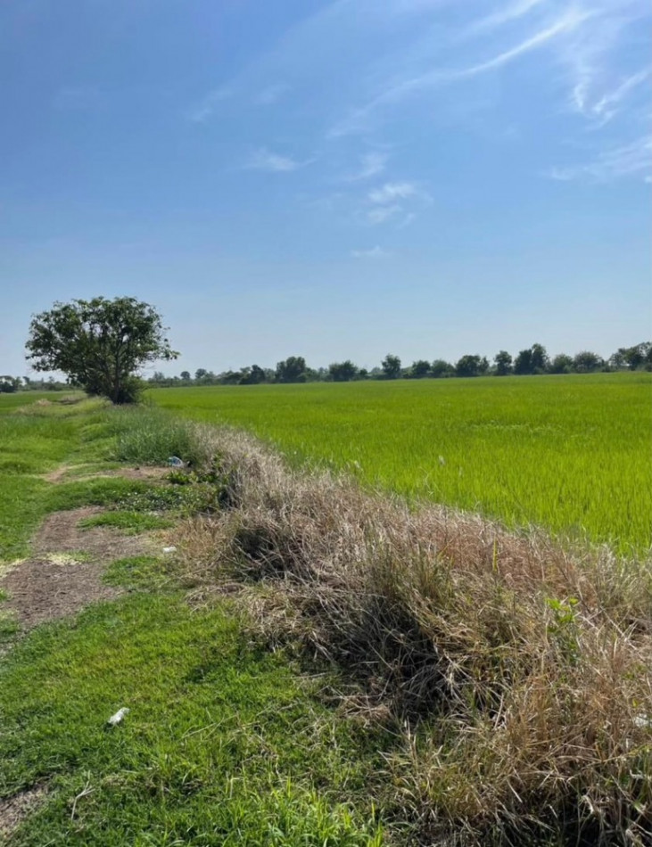 SaleLand Land for sale, rice field, 16 rai, Don Phutsa Subdistrict, Don Tum District, Nakhon Pathom Province ID-13604