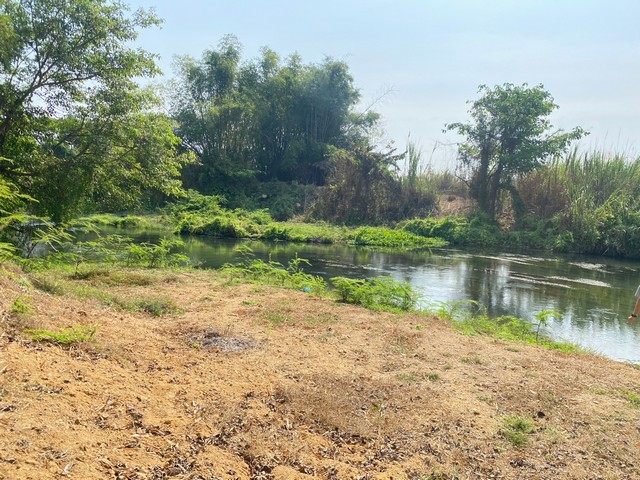 ขายที่ดิน ขายที่ดินสวยติดแม่น้ำเพชรบุรี2แปลง3งานและ1ไร่ อ.ท่ายางจ.เพชรบุรี