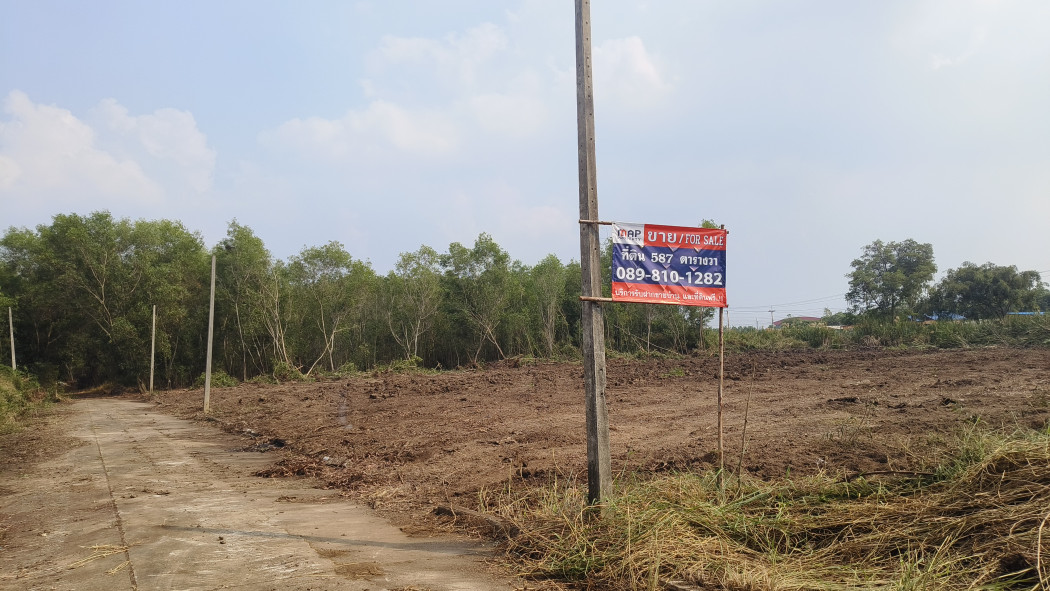 SaleLand Land for sale - 1 rai 1 ngan 87 sq m. Already filled in, level higher than the road in front of the plot. Located in the pink city plan