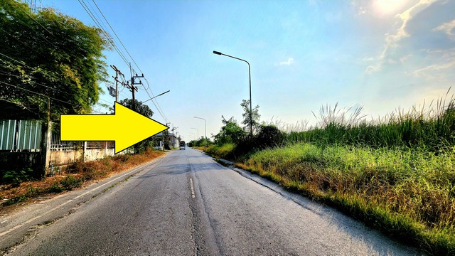 ขายที่ดินติดถนนลาดยาง คลอง9-10 ธัญบุรี-ลำลูกกา 