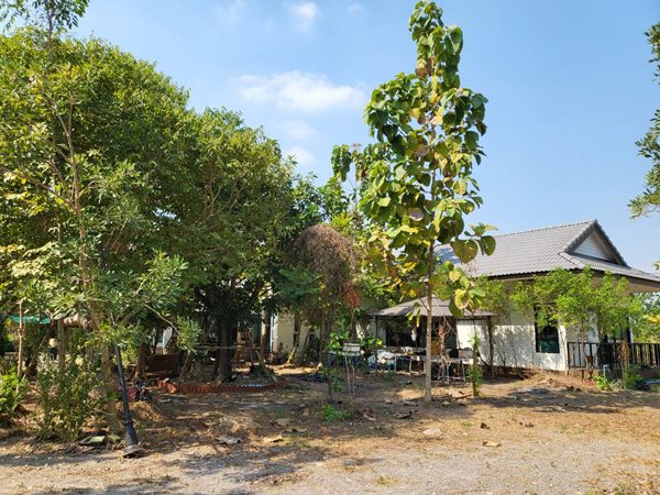 ขายบ้าน ขายบ้านสวนพร้อมที่ดิน จ.ราชบุรี อ.โพธาราม 6 ไร่ 3 งานเศษ เหมาะแก่การพักผ่อน โทร 095-949-3955
