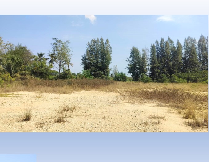 SaleLand land for sale Nakornpathom near motorway