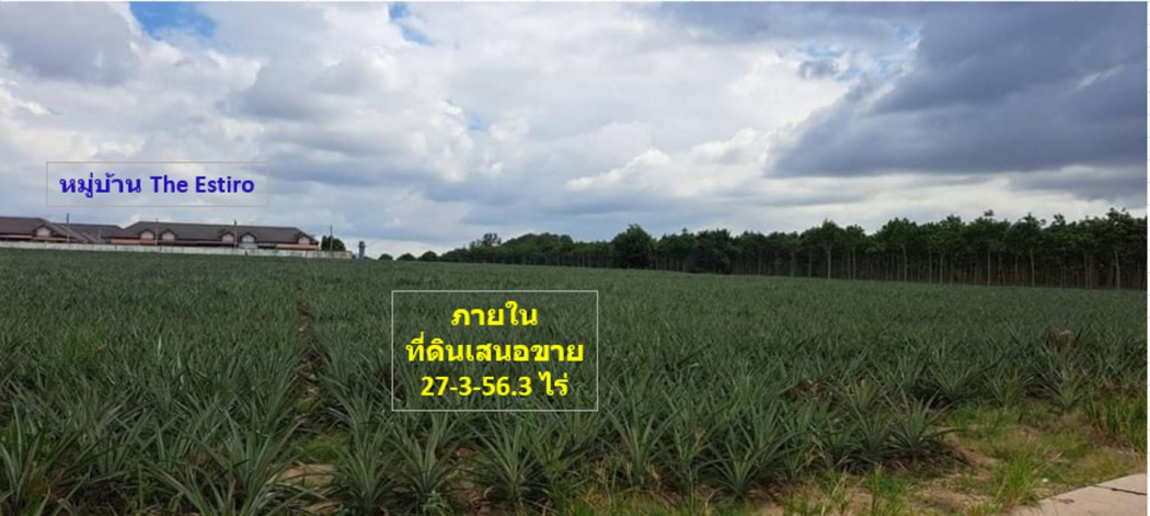 SaleLand Land for sale, location in a housing development, Phla , Ban Chang District, Rayong, Thetsaban Road 34, area 28 rai, zone EEC, orange.