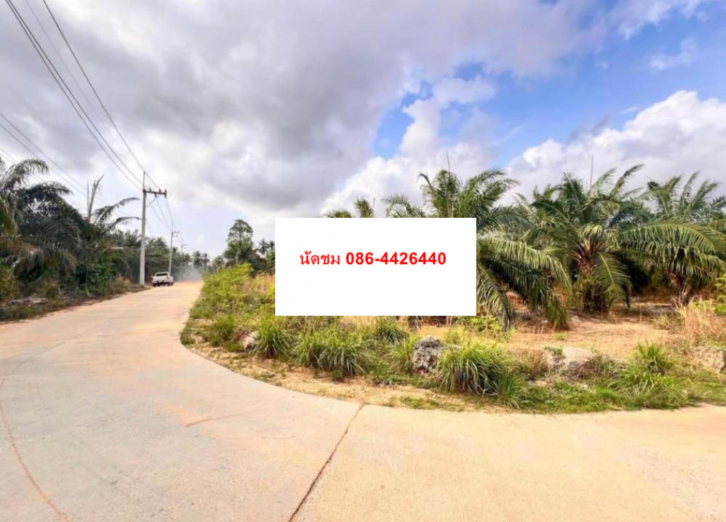 SaleLand Land for sale, large plot, Pattaya, Chonburi... ID-13778